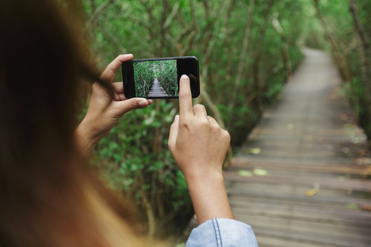using phone taking photo in mangrove footpath
