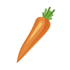 Orange carrot isolated on white background
