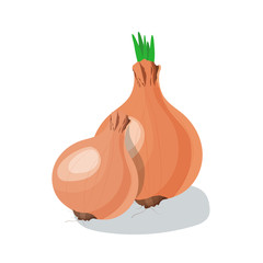 Onion vector illustration isolated