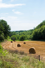 Serie Dordogne Frankrijk omgeving Castelnaud