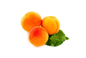 .Fresh ripe three apricots isolated on white background.