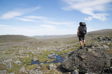 Hiker stands on a rock, Haltitunturi, summer
