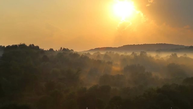 Timelapse sunset above steaming forest after rain