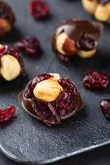 Hazelnut and cranberries in chocolate