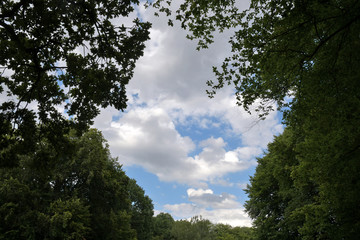 cumulus