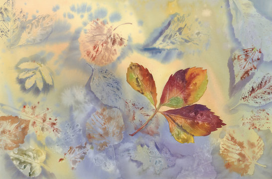 Maple Leaf Watercolor Bakground