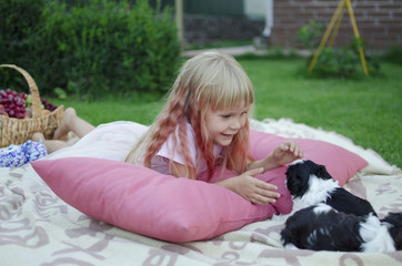 Naklejka na ściany i meble Little blond girl lying on the pink pillows and playing with little black and white shih tzu puppies. Cute smiling 4 years old girl