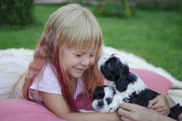 Little blond girl lying on the pink pillows and playing with little black and white shih tzu puppies. Cute smiling 4 years old girl