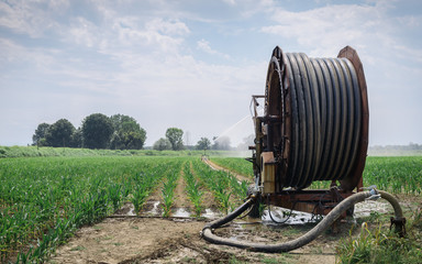 Irrigation system pumping water on a wheat field, Italy