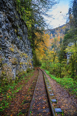 Fototapeta premium Railroad tracks cut through autumn woods