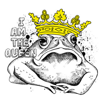 Image frog (toad) with a yellow crown. Vector illustration.