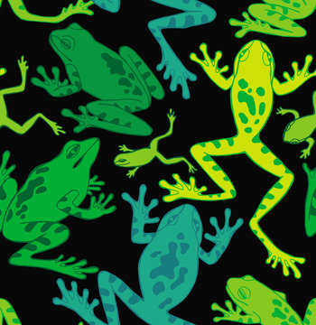 Seamless Pattern Frogs Color