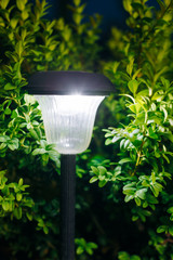 Small Garden Light, Lantern In Flower Bed. Garden Design. Solar 