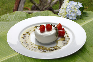 italian Burrata mozzarella cheese