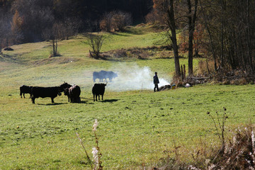 Schweizer Landschaft