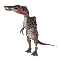 3D Rendering Dinosaur Spinosaurus on White
