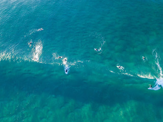 Aerial view of group of surfers surfing in clear water beach.