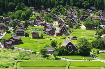 Zelfklevend Fotobehang Shirakawago in Hida Japan, Gassho-Zukuri Village Shirakawa-go Hida Summer © shuttered