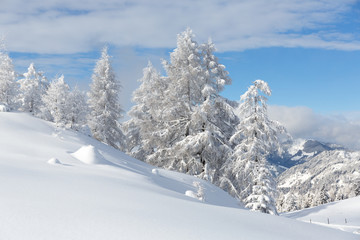 Fototapeta na wymiar Winterwonderland in the Alps