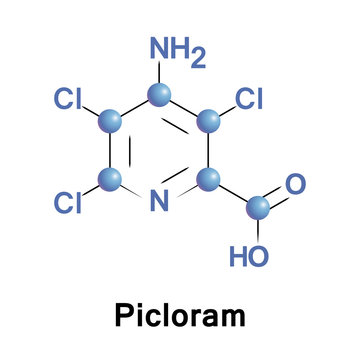 Picloram is a systemic herbicide used for general woody plant control.