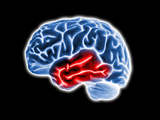 brain pain illustration