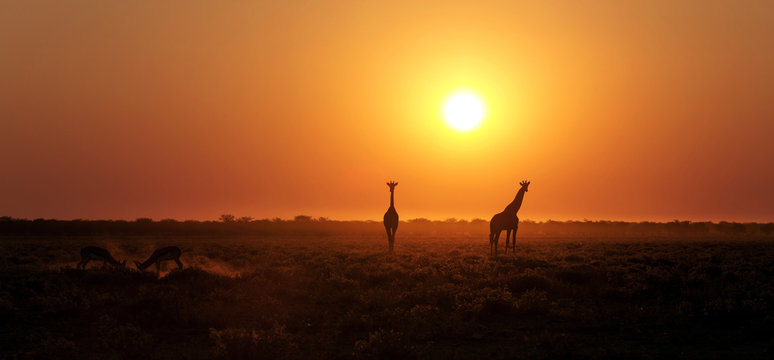 Namibia Landscape
