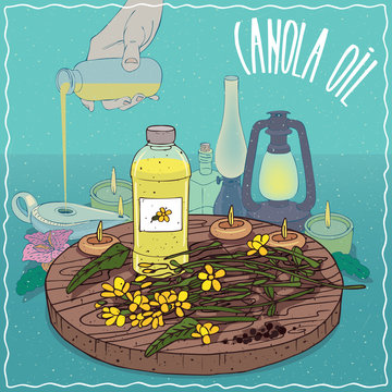 Plastic Bottle of Canola oil and flowers and seeds of Canola plant. Hand filling ancient oil lamp. Natural vegetable oil used as fuel for oil lamp