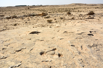 Rocky deserted landscape with ancient dot carvings at Jebel Jassassiyeh site in Northern Qatar.
