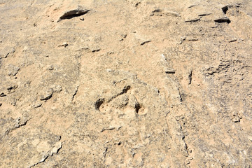 Rock outcrop with ancient dot carvings at Jebel Jassassiyeh site in Northern Qatar