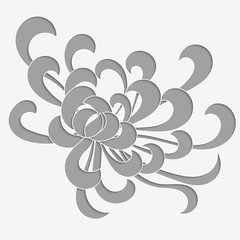 Aster flower perforated with realistic shadow