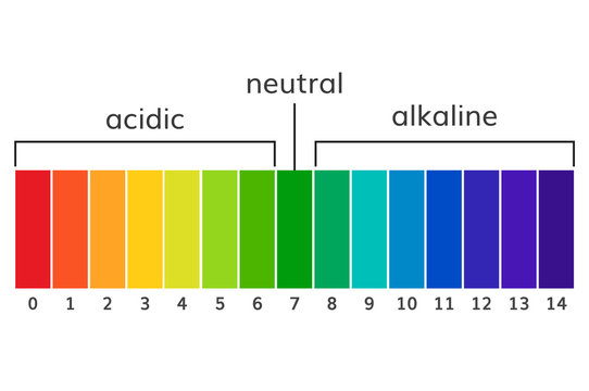 Premium Vector  Ph scale chart, alkaline and acidic nutrition