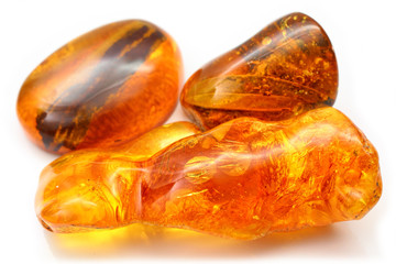 Bright beautiful polished pieces of amber with inclusions of insects inside. Amber with insects on...