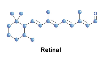 Retinal vitamin A aldehyde