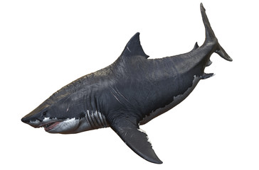 3D rendering of Megalodon isolated on a white background.