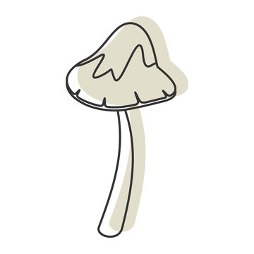 Honey fungus mushroom icon vector illustration for design and web isolated