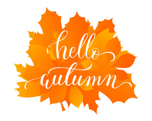 Vector lifestyle lettering hello autumn