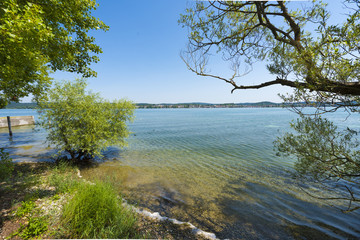 The waterside near Niederzell on the island Reichenau - Island of Reichenau, Lake Constance, Baden-Wuerttemberg, Germany, Europe
