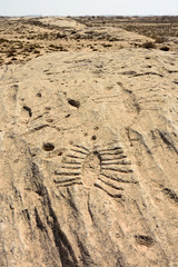 Rock outcrop with ancient petroglyphs depicting fish and boats in Jebel Jassassiyeh in Northern Qatar.