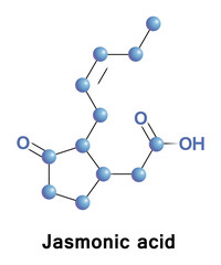 Jasmonic acid hormone