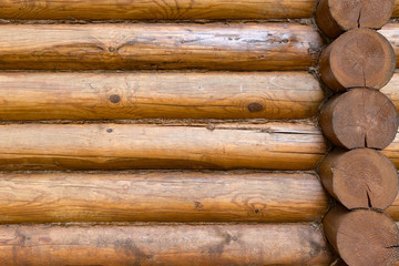 Old wall of logs shear. Cose up background.