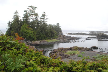 Obraz premium Küste