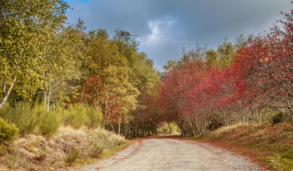 Landscape done in Serra da Estrela, Portugal