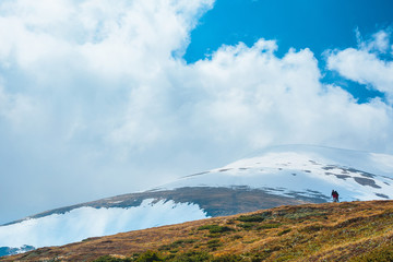 Hiking tourists climbs to the snow-capped mountain top. Concept theme: nature, weather, climbing,...