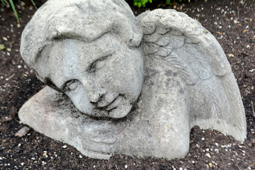 Angels in the ground close up photo