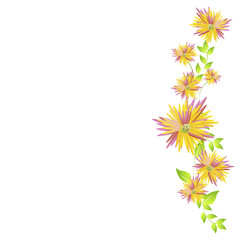 Obraz premium beautiful flowers