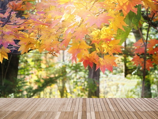 Naklejka na ściany i meble Abstract blur of autumn leave and wood space in Japan