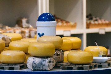 Cheese factory production shelves with aging cheese