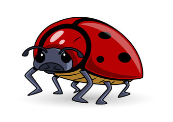 Lady Bug Vector