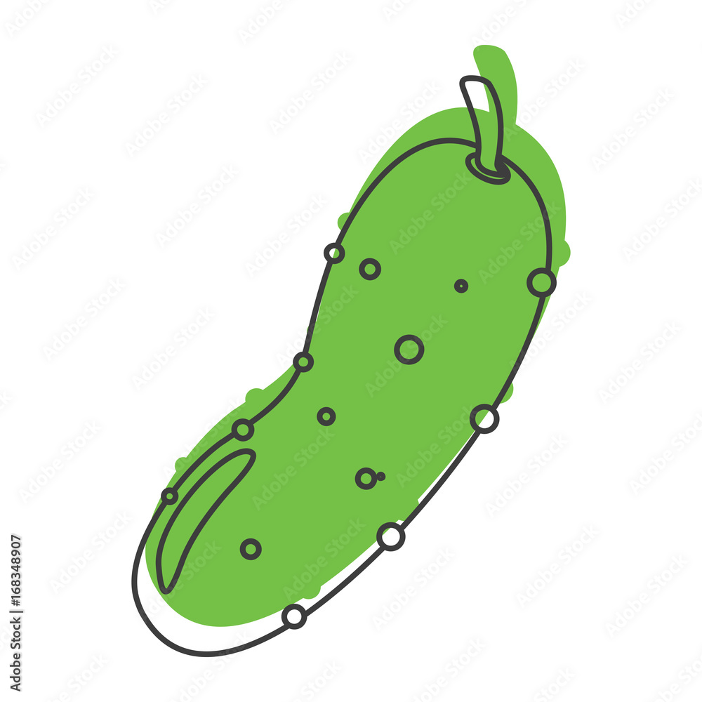 Wall mural Green cucumber doodle icon vector illustration for design and web isolated on white background