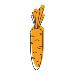 Carrot doodle icon vector illustration for design and web isolated on white background